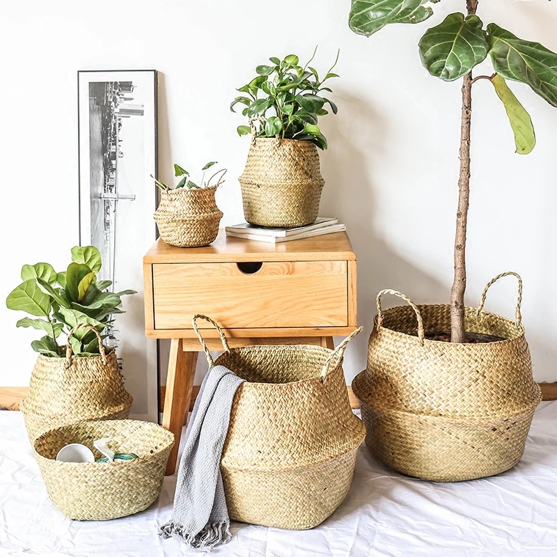 Zerolife الأعشاب البحرية سلة خ - مراجعة Baby Products Basket وسعره